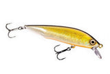 Golden Shiner