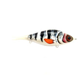 Silver Koi