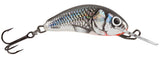 Holographic Grey Shiner