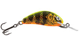 Gold Fluo Perch