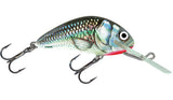 Holographic Grey Shiner