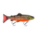 Artic Char