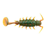 Nagoya Shrimp