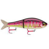 Pink Perch