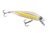 Pond Smelt