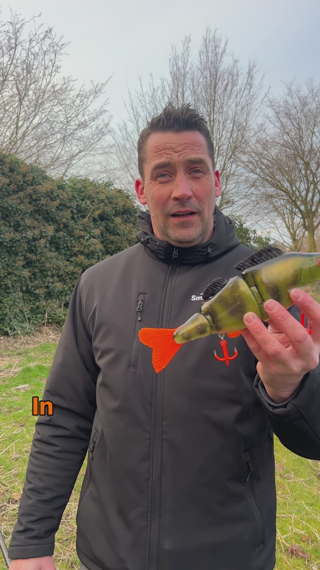 Fishion Lures Perchie - Natural Perch
