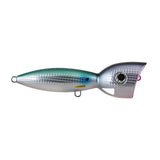 Green Mullet