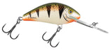 Nordic Perch