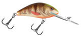 Spotted Brown Perch