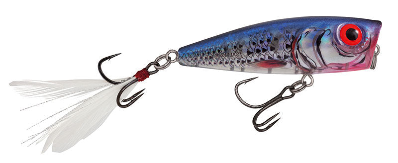 Salmo Rattlin&