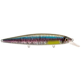 Rainbow Shad