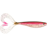 Rainbow Trout Live