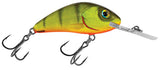 Hot Perch