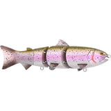Rainbow Trout