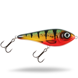 Redfin Perch
