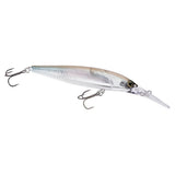 Smelt
