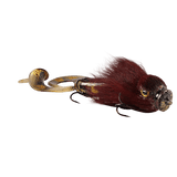 Spotted Bullhead