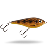 Spotted Bullhead