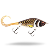 Spotted Bullhead