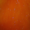 Smartlures Big Fly Dubbing Orange