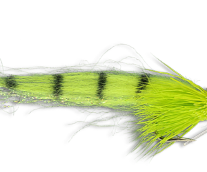 Umpqua Bonefish Slider Chartreuse #4