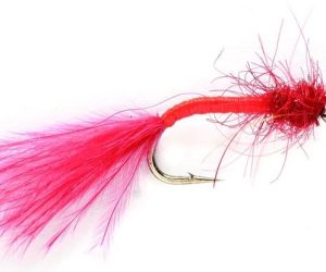 Fulling Mill Bloodworm #10