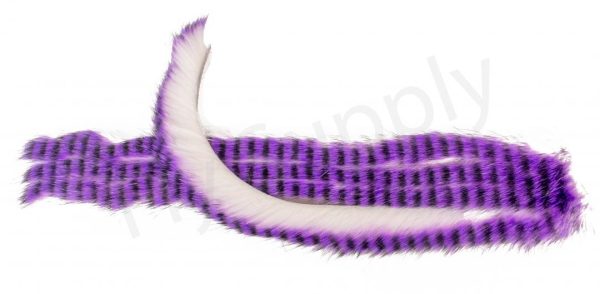 White-Purple