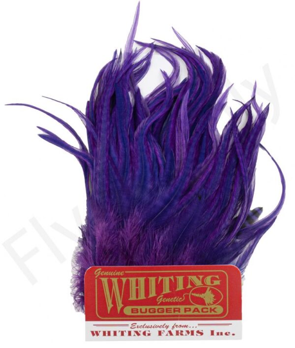 White Dyed Purple