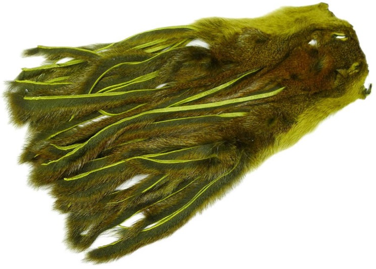 Whole Pine Squirrel Skin Zonked